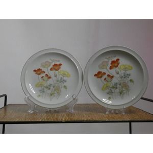 Vintage 2 Piece Painted Poppy Fanci Floral Collection Plates